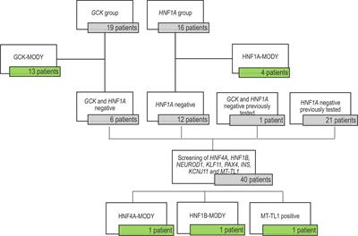 Identification of Variants Responsible for Monogenic Forms of Diabetes in Brazil